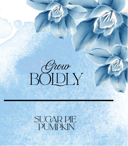 Sugar Pie Pumpkin Seeds